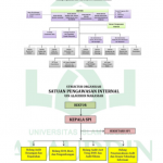 Struktur Organisasi UIN Alauddin